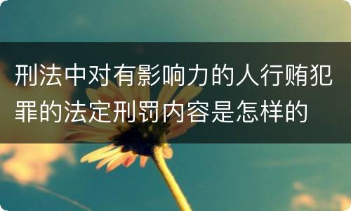刑法中对有影响力的人行贿犯罪的法定刑罚内容是怎样的