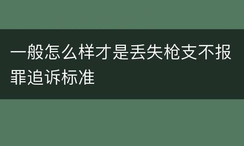 一般怎么样才是丢失枪支不报罪追诉标准