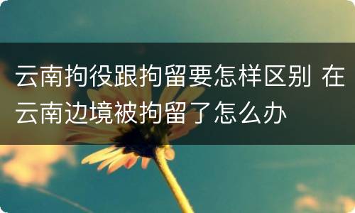 云南拘役跟拘留要怎样区别 在云南边境被拘留了怎么办