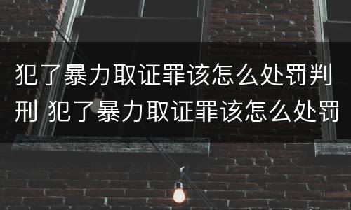 犯了暴力取证罪该怎么处罚判刑 犯了暴力取证罪该怎么处罚判刑多久
