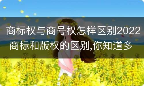 商标权与商号权怎样区别2022 商标和版权的区别,你知道多少?