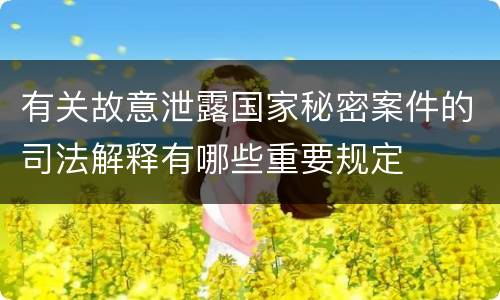 有关故意泄露国家秘密案件的司法解释有哪些重要规定