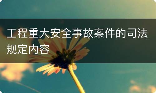 工程重大安全事故案件的司法规定内容