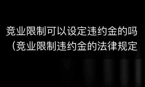 竞业限制可以设定违约金的吗（竞业限制违约金的法律规定）
