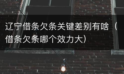 辽宁借条欠条关键差别有啥（借条欠条哪个效力大）
