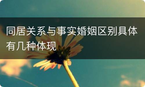 同居关系与事实婚姻区别具体有几种体现