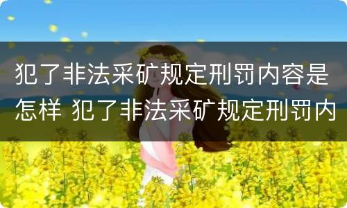 犯了非法采矿规定刑罚内容是怎样 犯了非法采矿规定刑罚内容是怎样写的