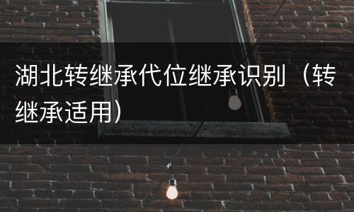 湖北转继承代位继承识别（转继承适用）