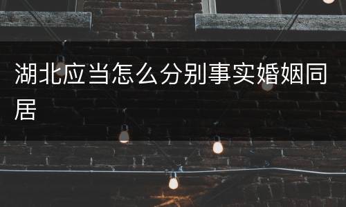 湖北应当怎么分别事实婚姻同居