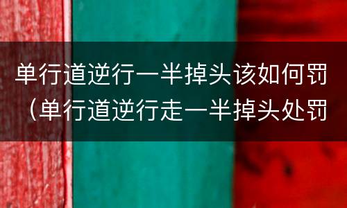 单行道逆行一半掉头该如何罚（单行道逆行走一半掉头处罚吗）