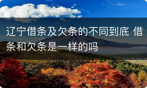 辽宁借条及欠条的不同到底 借条和欠条是一样的吗