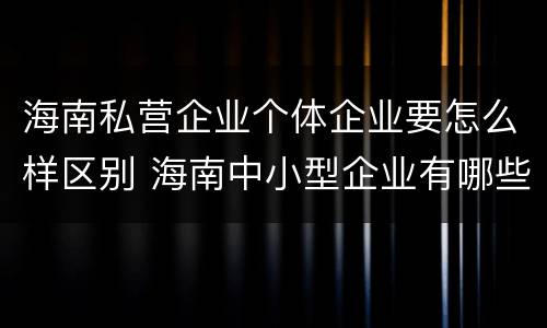 海南私营企业个体企业要怎么样区别 海南中小型企业有哪些公司