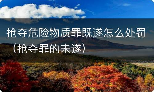 抢夺危险物质罪既遂怎么处罚（抢夺罪的未遂）