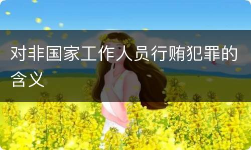 对非国家工作人员行贿犯罪的含义