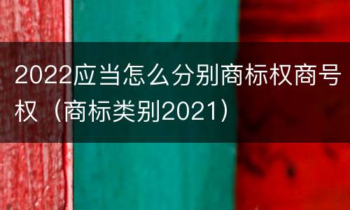 2022应当怎么分别商标权商号权（商标类别2021）