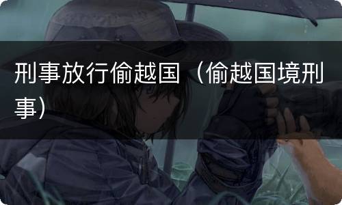 刑事放行偷越国（偷越国境刑事）