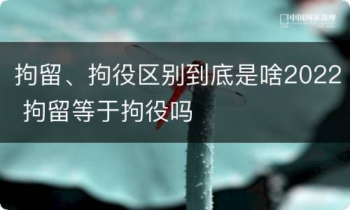 拘留、拘役区别到底是啥2022 拘留等于拘役吗
