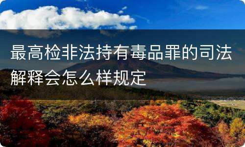最高检非法持有毒品罪的司法解释会怎么样规定
