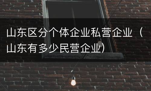 山东区分个体企业私营企业（山东有多少民营企业）