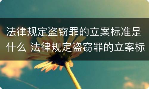 法律规定盗窃罪的立案标准是什么 法律规定盗窃罪的立案标准是什么意思