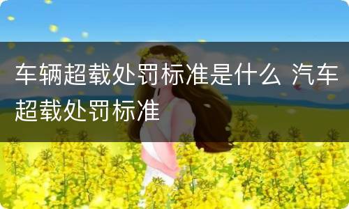 车辆超载处罚标准是什么 汽车超载处罚标准