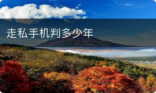 走私手机判多少年