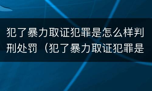 犯了暴力取证犯罪是怎么样判刑处罚（犯了暴力取证犯罪是怎么样判刑处罚的）