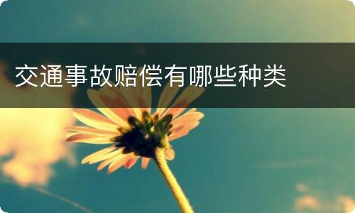 交通事故赔偿有哪些种类