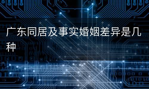 广东同居及事实婚姻差异是几种