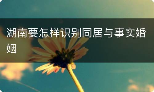 湖南要怎样识别同居与事实婚姻