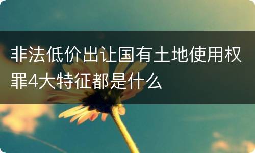 非法低价出让国有土地使用权罪4大特征都是什么