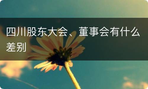 四川股东大会、董事会有什么差别