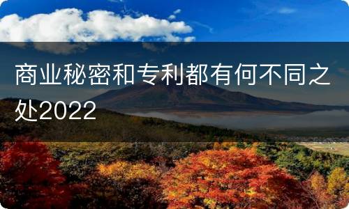 商业秘密和专利都有何不同之处2022