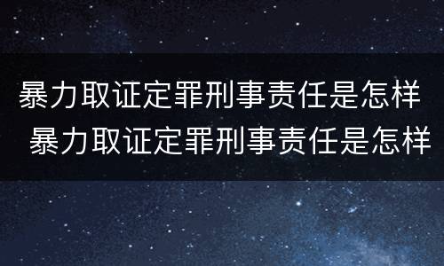 暴力取证定罪刑事责任是怎样 暴力取证定罪刑事责任是怎样定义的