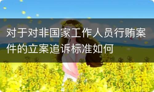对于对非国家工作人员行贿案件的立案追诉标准如何