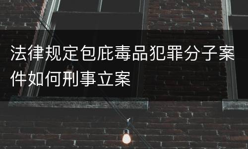 法律规定包庇毒品犯罪分子案件如何刑事立案