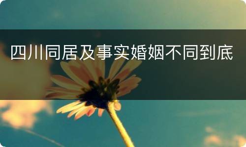 四川同居及事实婚姻不同到底