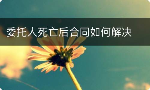 委托人死亡后合同如何解决