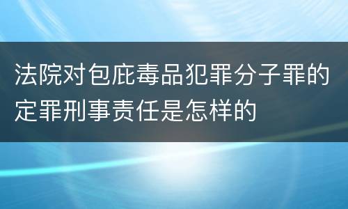 法院对包庇毒品犯罪分子罪的定罪刑事责任是怎样的
