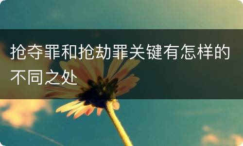 抢夺罪和抢劫罪关键有怎样的不同之处