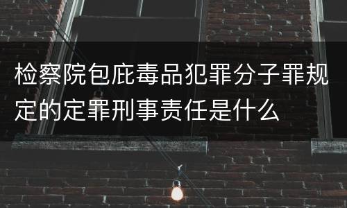 检察院包庇毒品犯罪分子罪规定的定罪刑事责任是什么