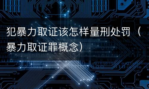 犯暴力取证该怎样量刑处罚（暴力取证罪概念）