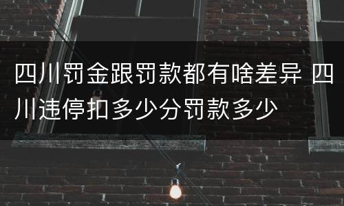 四川罚金跟罚款都有啥差异 四川违停扣多少分罚款多少