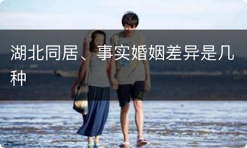 湖北同居、事实婚姻差异是几种