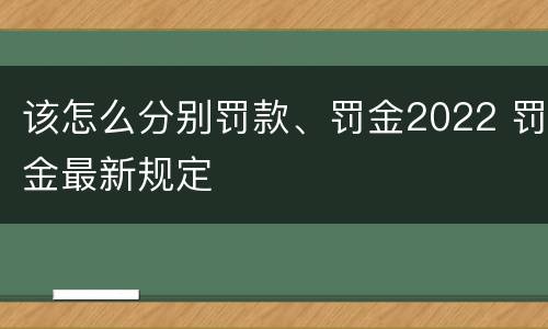 该怎么分别罚款、罚金2022 罚金最新规定
