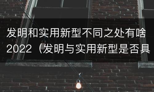 发明和实用新型不同之处有啥2022（发明与实用新型是否具有实用性）
