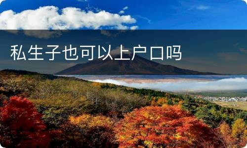 私生子也可以上户口吗