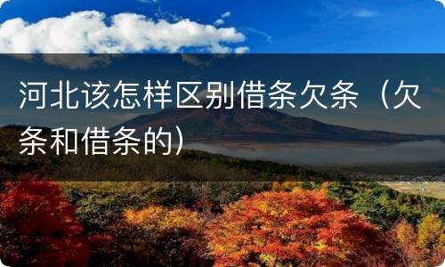 河北该怎样区别借条欠条（欠条和借条的）