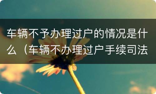 车辆不予办理过户的情况是什么（车辆不办理过户手续司法解释）