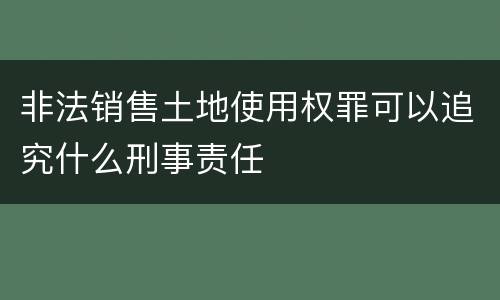 非法销售土地使用权罪可以追究什么刑事责任